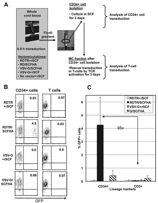 Figure 4. RDTR/SCFHA-displaying LVs preferentially transduce hCD34+ cells in whole CB–containing active human complement. (A) Outline of the experimental setup. Total hCB-containing active complement was incubated with RDTR- or VSV-G–LVs in the presence of rSCF (50 ng/mL) or with vectors co-displaying the RDTR or VSV-G together with SCFHA glycoprotein without the addition of exogenous cytokines. Vectors were used at MOI = 0.001 calculated for the total number of WBCs and RBCs present in the blood sample. After 6-8 hours of incubation with the LVs, the CD34+ cells were isolated by positive selection and were cultured in medium containing 50 ng/mL of recombinant rSCF. After removal of the CD34+ cells, the residual MCs were cultured in RPMI supplemented with anti-CD3, anti-CD28, and rhIL-2. After 3 days of culture, transduction of very early progenitors (CD34+GFP+ cells) and T cells (CD3+GFP+ cells) in the MC fraction was analyzed by FACS. The dot blots are represented in panel B. The percentages of CD34+GFP+ cells (left) and GFP+ T cells (right) are indicated. The data are representative of 5 experiments. (C) Comparison of the transduction efficiencies of early progenitors (CD34+ cells) and T cells (CD3+ cells) in the whole CB sample.