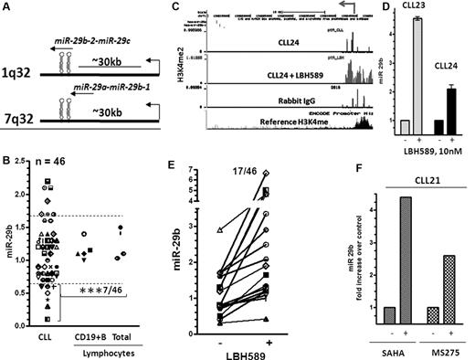 Figure 4. Structure, expression, and induction of miR-29b in response to HDAC inhibition in CLL. (A) Structure of miR-29a-b and miR-29b-c genes. (B) Levels of miR-29b as measured by quantitative RT-PCR and normalized to the levels of RNU6B used as a loading control in lymphocytes (total and CD19+ B cells) from normal donors and 46 CLL samples. The data were then expressed as a percentage of the values obtained for one arbitrarily chosen normal set at 1. Statistical analysis was conducted using ANOVA; mean values of miR-29b was significantly different between normal lymphocytes and CLL lymphocytes that showed a 60% or greater decrease in expression (***P < .001). (C) Increase in the levels of the H3K4me2 modification at the miR-29b promoter in a representative CLL sample after exposure to 10nM LBH589 for 5 hours. (D) Induction of miR-29b in the same CLL samples after exposure to 10nM LBH589 for 5 hours. The -fold increase after exposure to LBH589 was calculated and is represented as increase in levels of expression (as determined in Figure 4B) over that in untreated cells. (E) Induction of miR-29b in 46 CLL samples on HDAC inhibition. (F) Induction of miR-15a and miR-16 in a CLL sample after exposure to the HDAC inhibitors SAHA (3μM) and MS275 (3μM) for 3-6 hours.