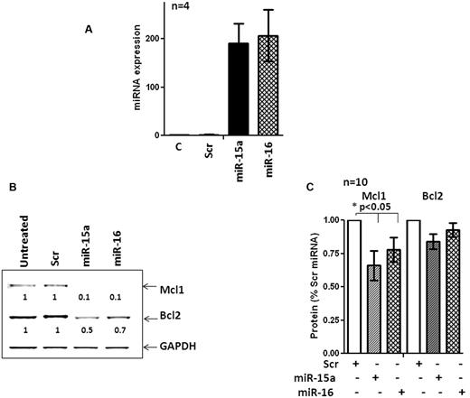 Figure 5. miR-15a and miR-16 target Mcl1 but not Bcl-2 in primary CLL cells. (A) Expression of miR-15a and miR-16 in a CLL sample after nucleofection for 48 hours. (B) Levels of Mcl-1 and Bcl-2 in a CLL sample after nucleofection with miR-15a, miR-16, or a scrambled nontargeting control (Scr) miR for 48 hours. (C) Quantitation of the levels of Mcl-1 and Bcl-2 in 10 primary CLL samples after nucleofection with miR-15a, miR-16, or a Scr miR for 48 hours. Statistical significance of the decrease of Mcl-1 and Bcl-2 levels was determined by 1-way ANOVA.