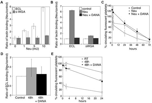 Figure 1. Effect of desialylation in vitro on platelet survivals and the effect of DANA on the survival of platelets in mice after refrigerated storage. (A) Flow cytometric analysis of β-galactose or β-GlcNAc exposure on platelet surfaces, as detected with ECL or s-WGA FITC-labeled lectins. Lectin binding to fresh mouse platelets in the presence and absence of α2-3,6,8,9-Sialidase from A ureafaciens (Neu) at the indicated concentrations (n = 5). (B) Flow cytometric analysis of β-galactose or β-GlcNAc exposure on mouse platelet glycoproteins, as detected above in the presence (Neu) and absence (Control) of 10 mU of α2-3,6,8,9-Sialidase (Neu) and the competitive sialidase inhibitor DANA (Neu + DANA; n = 4). (C) Untreated CMFDA-labeled platelets (Control), platelets treated with sialidase (Neu), or sialidase and the competitive inhibitor DANA (Neu + DANA) were infused intravenously into WT mice (108 platelets/10 g of body weight). Blood was drawn at the indicated time points, and platelets were analyzed by flow cytometry. Results are presented relative to fresh room temperature platelets. Data are mean percentage CMFDA-labeled platelets ± SEM. Each point represents 8 mice. (D) Effect of 1mM DANA on the amount of galactose detected by the ECL assay in the stored and rewarmed platelets just before their injection into recipient mice. (E) Survival of mouse platelets stored for 48 hours by refrigeration in the absence or presence of 1mM DANA in the storage solution. The survival of freshly isolated platelets is shown for comparison (n = 7).