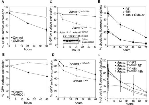 Figure 4. Inhibition of MP-mediated GPIbα and GPV shedding after refrigeration does not improve the survival of transfused mouse platelets. (A) GPIbα and (B) GPV surface expression were assessed by flow cytometry. WT mouse PRP was stored for 0, 24, and 48 hours at 4°C in the presence of DMSO (Control) or 100μM of the MP inhibitor GM6001 (n = 6). Surface expression of GPIbα (C) and GPV (D) was determined by flow cytometry on freshly isolated or 24 and 48 hours refrigerated PRP from Adam17+/+ and Adam17ΔZn/ΔZn mice. Results are the mean ± SEM (n = 5). (C, inset) Immunoblot for GPIbα in lysates from Adam17+/+ and Adam17ΔZn/ΔZn platelets stored for 3, 24, and 48 hours in the cold. (E) Fluorescently labeled (CMFDA) fresh PRP (room temperature) or platelets from stored platelet rich plasma in the absence (48 hours) or presence of 100μM GM6001 (48 hours + GM6001) were infused into WT mice (108 platelets/10 g of body weight). Blood was drawn at the indicated time points, and platelets were immediately analyzed by flow cytometry. Results are mean percentage of CMFDA-labeled platelets ± SEM. The percentage of CMFDA-positive fresh platelets at 5 minutes after transfusion was set as 100% (n = 5); *P < .05. Cold-stored platelets are compared. (F) Fluorescently labeled (CMFDA) fresh platelets (Adam17+/+ RT and Adam17ΔZn/ΔZn RT) or platelets from cold stored PRP (Adam17+/+ 48 hours and Adam17ΔZn/ΔZn 48 hours) were infused intravenously into WT mice (108 platelets/10 g of body weight). Blood was drawn at the indicated time points, and platelets were immediately analyzed by flow cytometry. Results are mean percentage of CMFDA-labeled platelets ± SEM. The percentage of CMFDA-positive fresh Adam17+/+ platelets at 5 minutes after transfusion was set as 100% (n = 5).