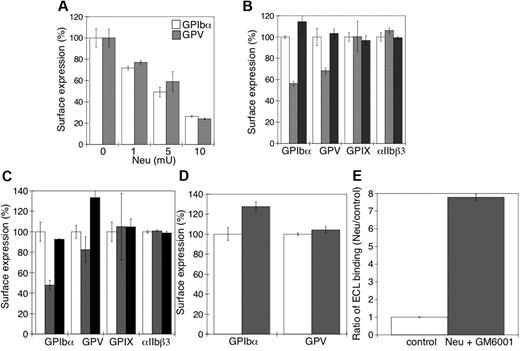 Figure 6. Loss of surface sialic acid correlates with GPIbα and GPV shedding in mouse platelets. (A) Flow cytometric analysis of surface content of GPIbα or GPV. Ab binding in the presence and absence of α2-3,6,8,9-sialidase from A ureafaciens (Neu) at the indicated concentrations (n = 5). (B) Surface receptor expression (GPIbα, GPV, GPIX, and αIIbβ3) was measured by flow cytometry on mouse platelets in the presence (▩) and absence (□) of 5 mU of α2-3,6,8,9-sialidase. Sialidase activity was inhibited with DANA (■). The mean fluorescence of receptor expression on untreated platelets was set as 100% (n = 4). (C) Surface receptor expression (GPIbα, GPV, GPIX, and αIIbβ3) was measured by flow cytometry on mouse platelets treated with 5μM rADAM17 in the absence (▩) or presence of 5mM DANA (■). Receptor expression of untreated platelets is also shown (□). The mean fluorescence measured on control platelets for each receptor was set as 100%. The data are shown as the mean and SEM of 4 independent experiments. (D) Surface receptor expression (GPIbα and GPV) was measured by flow cytometry on mouse platelets in the presence (▩) and absence (□) of 5μM rADAM17, 5 mU of α2-3,6,8,9-sialidase, and 100μM GM6001. The data are shown as the mean and SEM of 4 experiments. The mean fluorescence measured for each receptor on control platelets was set as 100%. (E) Flow cytometric analysis of β-galactose exposure on glycoproteins is detected with FITC-labeled ECL in untreated platelets (control) or platelets treated with 5 mU of α2-3,6,8,9-sialidase and 100μM GM6001. Data are presented relative as the mean fluorescence of ECL binding to control platelets (n = 4).