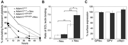 Figure 7. Sialidase-treated Adam17ΔZn/ΔZn platelets are rapidly cleared from the circulation. (A) CMFDA-labeled fresh room temperature Adam17+/+ and Adam17ΔZn/ΔZn platelets were treated with sialidase (5 mU/mL; filled symbols) or left untreated (open symbols) were infused intravenously into Adam17+/+ mice (108 platelets/10 g of body weight). Blood was drawn at the indicated time points, and the platelets were immediately analyzed by flow cytometry. Results are expressed as the mean percentage of CMFDA-labeled platelets ± SEM. The percentage of CMFDA-positive untreated Adam17+/+ platelets at 5 minutes after transfusion was set as 100%. Each point represents 4 mice; ***P < .001. Sialidase-treated Adam17+/+ and Adam17ΔZn/ΔZn were compared. (B) Flow cytometric analysis of terminal β-galactose on glycoproteins, as detected with ECL FITC-labeled lectin. Lectin binding to Adam17+/+ or Adam17ΔZn/ΔZn platelets treated or not with α2-3,6,8,9-sialidase. The ratio of mean fluorescence intensity binding to untreated Adam17+/+ platelets is shown. Histograms report the mean ± SEM of 3 separate experiments. *P < .05, **P < .01, and ***P < .001. (C) GPIbα, GPV, and αIIbβ3 surface expression was assessed by flow cytometry. Adam17+/+ (not shown) and Adam17ΔZn/ΔZn platelets were treated with sialidase (5 mU/mL; ■) or not (□). Results are expressed relative to the amount of GPIbα on Adam17ΔZn/ΔZn platelets (mean percentage of relative to control ± SEM; n = 3).