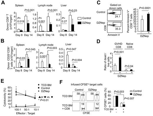 Figure 2. DZNep increases apoptosis in alloreactive CD8+ T cells in vivo. Donor C3H.SW mouse-derived TCD BM + CD44loCD8+ TN cells (Ly9.1) were transplanted into lethally irradiated B6 mice (Ly9.2). DZNep was administered subcutaneously to these recipients from day 3 to day 13, with vehicle treatment as control. (A-B) Graphs show (mean ± SD) the absolute number of donor-derived CD8+ T cells in spleen, lymph node, and liver on day 8 (n = 3 for each group) and day 14 (n = 5 for each group) after transplantation (A) and the percentage and absolute number of donor-derived CD25+CD8+ cells (B). (C) Dot plots and graphs show (mean ± SD) the fraction of annexin V–positive donor-derived CD8+ T cells isolated from B6 recipients on day 14 after transplantation (n = 5 for each group). (D) Donor CD8+ T cells were isolated from control recipients of T cells at day 14 after transplantation and cultured with IL-2 (5 ng/mL), with or without addition of DZNep (200nM) for 24 hours. Graphs (mean ± SD) show the ratio of dead cells versus live cells. (E) Donor T cells were isolated from the spleen at day 14 for CTL assay against MBL-2 cells. (F) In vivo CTL assay against infused host and donor-type B220 cells. B6 allogeneic target splenocytes were labeled with 3.0μM CFSE (CFSEhi). Control targets were C3H.SW splenocytes labeled at a low CFSE concentration (0.3μM; CFSElo). On day 21, a 1:1 mixture of CFSE-labeled B6 and C3H.SW splenocytes (107) were infused into B6 recipients of TCD BM or B6 recipients of TCD BM and CD8+ T cells, which had been treated with or without DZNep from day 3 to day 17. Spleens were harvested 18 hours later to assess killing of B6-derived CFSEhi-target B cells. CD8+ TN cells were cultured as controls. Representative results from 2 separate experiments are shown.