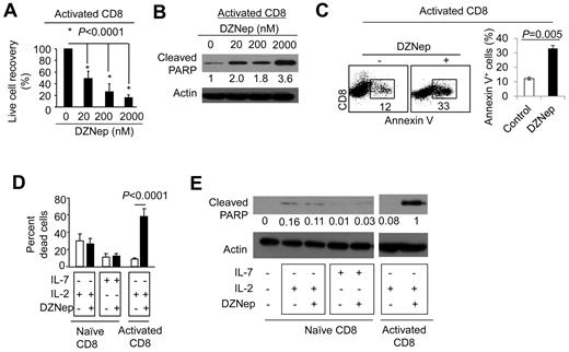Figure 3. DZNep causes selective apoptosis in activated CD8+ T cells in vitro. (A-C) CD8+ TN cells derived from B6 mice were stimulated with anti-CD3 and anti-CD28 Abs. Five days later, these activated T cells were further treated with different doses of DZNep for 24 hours. Live cell number was counted, and the recovery rate (output/input) was calculated (A). T-cell lysates were prepared for Western blot analysis to determine the amount of cleaved PARP (B). Dot plots and graphs (mean ± SD) show the fraction of annexin V+ cells in activated T cells treated with or without DZNep (200nM; C). (D-E) CD8+ TN cells derived from B6 mice were cultured in the presence of IL-7 or IL-2 with or without the addition of DZNep (200nM) for 24 hours. CD8+ T cells that had been stimulated with anti-CD3 + anti-CD28 Abs for 5 days were collected and cultured with or without DZNep (200nM) for an additional 24 hours as controls. (D) Graphs (mean ± SD) show the percentage of dead cells after culture. (E) Western blots show the expressions of cleaved PARP. Representative results from ≥ 3 separate experiments are shown.