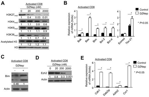 Figure 4. DZNep inhibits histone methylation, reduces cellular Ezh2, and alters gene expression in activated CD8+ T cells. Naive CD8+ T cells were isolated from B6 mice and then stimulated with anti-CD3 and anti-CD28 Abs. Five days later, those activated T cells were further treated with or without DZNep. Cell lysates and RNA were prepared for measuring the amount of histone methylation, Ezh2 expression, and gene expression. (A) Western blot analysis shows the amount of histone methylation and acetylation in activated T cells treated with or without DZNep for 72 hours. (B) Graphs show (mean ± SD) the expression of genes associated with apoptosis and effector differentiation in activated T cells. (C) Western blot analyses show the expression of Bim protein in activated T cells treated with or without DZNep (200nM). (D) Western blot analysis shows the expression of Ezh2 in activated T cells treated with various doses of DZNep. (E) Graphs (mean ± SD) show the expression of genes repressed by Ezh2 in activated T cells treated with or without DZNep for 24 hours. Data are representative of ≥ 3 independent experiments.