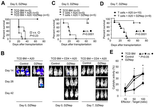 Figure 7. DZNep preserves CD4+ T cell-mediated GVL while inhibiting GVHD. (A-D) Lethally irradiated BALB/C recipients were transplanted with donor B6 TCD BM, with or without CD4+ TN cells, and challenged with or without A20TGL cells (1 × 106/mouse). Twelve doses of DZNep were administered from day 0 to day 27 after transplantation (A-C) or from day 7 to day 29 after transplantation (B,D). The survival was monitored over time (A,C-D). In vivo detection of luciferase activity at days 14, 28, and 42 after transplantation (B). (E) Donor T cells were isolated from the spleen at day 14 for CTL assay against A20 cells.