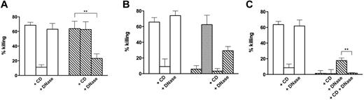 Figure 1. Killing of S aureus by control and NET-forming neutrophils. (A) S aureus was added to control neutrophils (white bars) and neutrophils forming NETs after incubation for 120 minutes with 20 ng/mL PMA (hatched bars). CD (10 μg/mL), DNase I (100 U/mL), or both (C) were added 20 minutes before addition of bacteria. (B) Same as panel A, with killing calculated after DNase I (100 U/mL) was added at the end of incubation with bacteria to the wells not already containing it. Gray bar represents killing calculated after addition of heat-inactivated (10 minutes, 70°C) DNase. (C) Same as panel B, with killing calculated using the total number of bacteria in the wells (ie, bacteria in the cell medium plus bacteria recovered from the wells after aspiration of the cell medium and washing). Error bars represent SEM (n = 4-6). With heat-inactivated DNase (n = 3). **P < .01 (Student t test on paired data).