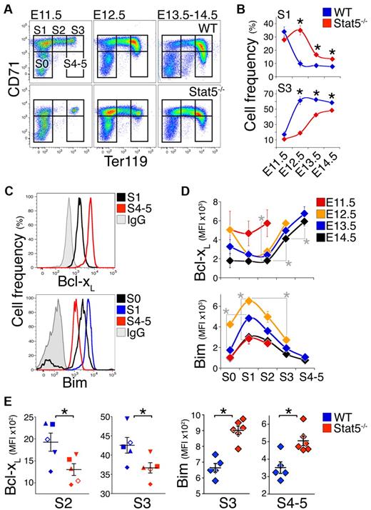 Figure 1. Delayed maturation and altered Bcl-xL and Bim expression in Stat5−/− fetal liver. (A) Representative flow cytometric CD71/Ter119 fluorescence profiles of Stat5−/− fetal livers and wild-type littermates freshly isolated on consecutive embryonic days (E11.5 to E14.5). S0 to S4/5 are increasingly differentiated erythroid progenitors and precursors subsets in the fetal liver.36 Dead cells were excluded using LIVE/DEAD viability dye. (B) Summary of analysis performed as in panel A. Data points are each mean ± SEM of 4 to 21 embryos. Statistically significant differences between wild-type and Stat5−/− subsets (★) were found for S1 on E12.5 (P = .002, 2-tailed t test, unequal variance), E13.5 (P = .00001), and E14.5 (P = .014) and for S3 on E12.5 (P = .005), E13.5 (P = .00004), and E14.5 (P = .010). (C) Representative flow cytometry histograms for the Bcl-xL and Bim proteins in the indicated fetal liver subsets. Freshly isolated wild-type E14.5 fetal liver cells were stained with CD71, Ter119, and the LIVE/DEAD viability dye, and were then fixed, permeabilized, and stained intracellularly with an anti–Bcl-xL antiserum or nonimmune antiserum control (IgG), or with anti-Bim Ab or IgG isotype control. The x-axis is in fluorescence units. (D) Bcl-xL and Bim protein levels, measured as in panel C, in fresh wild-type fetal liver subsets S0 to S4/5 at the indicated embryonic days. Data were pooled from several experiments with multiple litters. Data points are each the median fluorescence intensity (MFI) ± SEM of 4 to 14 embryos or 6 embryos for Bcl-xL and Bim measurements, respectively. Nonspecific background fluorescence, defined as the MFI of the corresponding subset stained with control IgG, was subtracted. On E13.5 and E14.5, there were significant differences between S2 and S3 (P ≤ .0001), and between S3 and S4/5 (P < .001, paired t test). Statistically significant differences in Bim expression were found for S1 between E11.5 and E12.5 (P < .0001, 2-tailed t test, unequal variance). On E12.5, there were significant differences between S0 and S1 (P < .0001), and between S1 and S3 (P < .0001). Similar developmental patterns were observed in C57BL/6 and Balb/C backgrounds. (E) Lower Bcl-xL and higher Bim levels in E14.5 Stat5−/− embryos compared with wild-type littermate controls, at the indicated differentiation subset. For Bcl-xL, n = 11 to 21 embryos per genotype, with each symbol type representing median expression for 1 litter. Means ± SEM for the population are indicated. Statistically significant differences were found for S2 (P = .03), S3 (P = .002, paired t test). For Bim, data points are individual embryos. Mean ± SEM for the population is shown. Statistically significant differences were found for S3 and S4-5 (P < .01, 2-tailed t test, unequal variance).