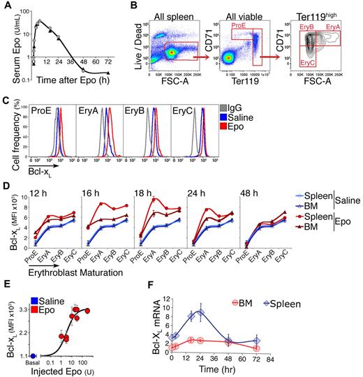 Figure 2. Bcl-xL is induced in adult early erythroblasts in response to Epo injection. (A) Time course of plasma Epo, assayed by ELISA, after a single subcutaneous injection of 300 U/25 g body weight. Two mice (identified as either circles or triangles) were assayed per time point. (B) Gating strategy for freshly explanted adult splenic erythroid subsets ProE, EryA, EryB, and EryC.5 Live cells were selected, and subsets gated based on Ter119, CD71, and forward scatter (FSC). The spleen illustrated in this panel was harvested 18 hours after a subcutaneous Epo injection. All axes units refer to fluorescence. (C) Representative flow cytometric histograms of Bcl-xL in the indicated spleen erythroblast subsets. Anti–Bcl-xL antiserum was used to stain erythroblasts from a saline-injected mouse (blue histograms), or an Epo-injected mouse (300 U/25 g, red histograms) in freshly explanted spleen at 18 hours postinjection. Nonimmune serum (IgG) was used to measure the nonspecific binding in each subset (gray histograms). The x-axis is in fluorescence units. (D) Bcl-xL expression measured as in panel C in freshly explanted spleen, in each erythroblast subset at each of the indicated time points after a single Epo injection (300 U/25 g). Each data point for Epo-injected mice is mean ± SEM of n = 4 mice for t = 16, 18, 24, 48 hours, and mean of 2 mice for t = 12 hours. Blue curves are mean ± SEM of n = 14 saline-injected mice pooled from all time points. The same blue curves are reproduced for comparison with Epo-injected mice at each time point. Statistical significance values: ProE at t = 16 hours, in BM *P = .005, in spleen *P = .0006. EryA in spleen, *P = .0009 at 16 hours, *P = .0009 at 18 hours. EryA in BM, *P = .013 at 16 hours, *P = .015 at 18 hours. The induction of Bcl-xL in splenic EryA was significantly higher than in BM EryA (*P = .021). Two-tailed t test with unequal variance was used for all comparisons. (E) Epo dose/Bcl-xL response in vivo in spleen EryA. Wild-type Balb/C mice were injected subcutaneously with either saline (= basal, blue circle) or a single dose of Epo (1, 3, 10, 20, 30, or 300 U/25 g, red circles). Bcl-xL was measured by flow cytometry as in panel C at 18 hours postinjection, with the nonspecific fluorescence reading subtracted for each subset. Data from 2 independent experiments were pooled and normalized. Data points were fitted with a Hill curve. Each data point represents mean ± SEM of n = 3 to 4 mice. (F) Time course of Bcl-xL mRNA levels after a single Epo injection (300 U/25 g), in freshly isolated and sorted spleen and BM EryA. Quantitative real-time PCR (qRT-PCR), data points are mean ± SEM of 3 independent experiments. Data are expressed relative to the β-actin mRNA and normalized to the value in BM EryA in saline-injected mice.