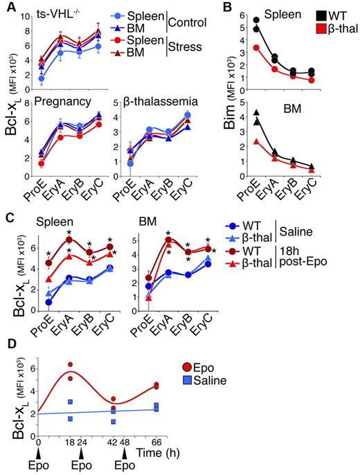 Figure 5. The Bcl-xL response to chronic stress and to acute-on-chronic stress. (A) Bcl-xL expression in mouse models of erythropoietic stress (red symbols) and matched controls (blue symbols), measured in freshly explanted tissue. Each data point is mean ± SEM of 2 to 4 mice. There were no statistically significant differences between chronic stress and control mice. (B) Representative experiment showing Bim expression in β-thalassemia mice in spleen (top) and BM (bottom). Two wild-type (black symbols) and 1 β-thalassemia mouse (red symbols) are shown. (C) The Bcl-xL response to an acute-on-chronic stimulus. Bcl-xL was measured in spleen and BM erythroblasts in β-thalassemia and matched control mice, 18 hours after a single injection of either Epo (300 U/25 g, red symbols) or saline (blue symbols). Data points are mean ± SEM of n = 3 to 4 mice. Representative of 4 independent experiments. There were statistically significant differences in Bcl-xL between Epo and saline injections in wild-type spleen ProE (P = .025, 2-tailed t test, unequal variance), EryA (P = .0009), EryB (P = .01), and EryC (P = .006); in β-thalassemia spleen EryA (P = .0004), EryB (P = .004), and EryC (P = .03); in wild-type BM EryA, EryB, and EryC (P ≤ .0005); and in β-thalassemia BM EryA, EryB (P < .0005), and EryC (P = .025). The increase in spleen EryA Bcl-xL was significantly higher (P = .023) in wild-type mice than in β-thalassemia mice. (D) The Bcl-xL response to 3 consecutive Epo injections. Wild-type mice were injected at time points 0, 24, and 48 hours with either Epo (300 U/25 g, indicated with arrowheads) or with saline. Bcl-xL in spleen EryA was assayed by flow cytometry in 2 mice for each treatment, 18 hours after each injection.