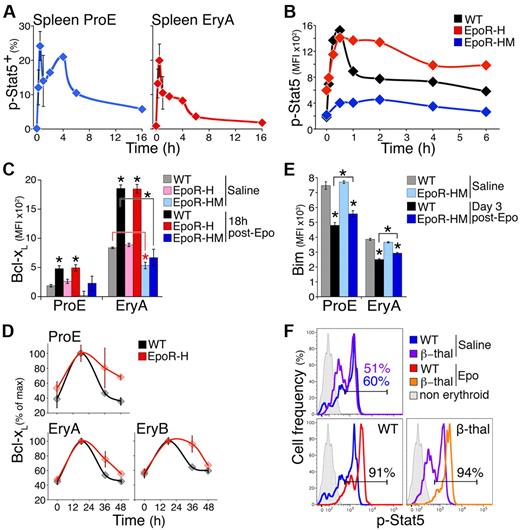 Figure 6. Adaptation in the Bcl-xL and p-Stat5 responses is dependent on the EpoR C-terminal cytoplasmic domain. (A) The p-Stat5 response to Epo in vivo in freshly explanted spleen ProE and EryA at the indicated times after a single Epo injection (300 U/25 g). Data were pooled from 4 independent experiments. Each time point is the mean ± SEM of data from 2 to 4 mice. (B) The p-Stat5 time course in S1 fetal liver cells in response to Epo stimulation (2 U/mL), shown for EpoR-HM, EpoR-H, and matched wild-type fetal livers at E13.5. Data are MFI above background (isotype-control Ab). Representative of 3 similar experiments. (C) The Bcl-xL response to Epo in vivo in EpoR-H and EpoR-HM mice. Bcl-xL was measured 18 hours after a single injection of either saline or Epo (300 U/25 g), in freshly explanted spleen ProE and EryA of EpoR-H, EpoR-HM, or wild-type controls. Data are mean ± SEM of n = 3 to 5 mice per bar. Significant Bcl-xL increase from basal levels in spleen ProE and EryA was seen in Epo vs saline-injected wild-type (black) and EpoR-H (red) mice (stars without brackets: WT ProE *P = .003; EpoR-H ProE *P = .012; WT EryA *P = .00004; EpoR-H EryA *P = .0001, 2-tailed t test, unequal variance), but not in EpoR-HM mice (blue). Bcl-xL was reduced in basal state EpoR-HM spleen EryA (red star with red bracket, *P = .027) compared with wild-type basal control. Bcl-xL induction in wild-type spleen EryA was significantly above that of EpoR-HM EryA (black star with bracket, *P = .007). (D) Time course of the Bcl-xL response in EpoR-H mice and in matched wild-type controls, after a single Epo injection (300 U/25 g). Measurements were made in freshly explanted spleen at the indicated time points. Bcl-xL is significantly higher in EpoR-H at 36 and 48 hours (P < .005, paired t test on all subsets). (E) Bim protein in spleen ProE and EryA of wild-type and EpoR-HM mice on day 3 after a single Epo injection (300 U/25 g). Data are mean ± SEM of n = 4 to 5 mice per bar. There was no significant difference in basal Bim between EpoR-HM and wild-type control mice. Bim was significantly suppressed after Epo injection (*P < .001). Bim was suppressed by a significantly smaller extent in EpoR-HM ProE and EryA subsets (stars with brackets, *P = .03 and *P = .001, respectively, 2-tailed t test, unequal variance). (F) The p-Stat5 histograms in vivo at peak response (30 minutes) after a single injection of either Epo (300 U/25 g) or saline, in either β-thalassemia mice or in matched wild-type controls, measured in freshly explanted spleen ProE. The p-Stat5+ gate was drawn based on the nonerythroid population in spleen (gray histograms). The x-axis is in fluorescence units.