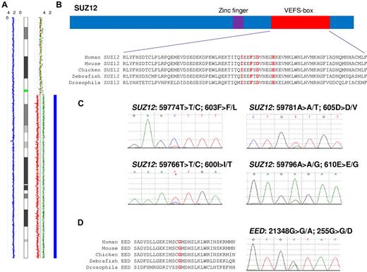 Figure 1. SUZ12 and EED mutations are highly conserved. (A) Chromosome 17 copy number analyzer for GeneChip (CNAG) output for case E7168 indicating homozygous SNP calls (blue rectangle) with a copy number of 2 (blue line) and allele-specific copy number calls (red and green lines). (B) Conservation of residues in the VEFS-box domain. Residues in red correspond to the mutations found. (C) Electropherograms showing the 4 SUZ12 mutations. (D) EED conservation and mutation in patient E1880.