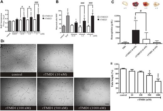 Figure 1. The effect of rTMD proteins on angiogenesis in vitro and in vivo. (A) Growth-arrested HUVECs were treated with various Pichia-expressed rTMD proteins for 2 days, and then pulse labeled with BrdU for 2 hours. (B) Chemotaxis was assessed by Boyden chamber migration assay. EGF (10 ng/mL) was used as positive control. HUVECs were added in the upper compartment, and the bottom compartment was filled with various rTMD proteins. After 4 hours of incubation, HUVECs that migrated to lower face of the membrane were counted. HPF indicates high-power field. Values are the mean ± SD (n = 5), and similar results were obtained in at least 3 different experiments. *P < .05 and ***P < .001 compared with the control; #P < .05 and ###P < .001 compared with the rTMD123. (C) rTMD proteins show different angiogenic activity in vivo. Matrigel plugs containing equal molar concentrations of rTMD1, rTMD23, or rTMD123 were used in the murine angiogenesis assay. The amounts of hemoglobin indicated the angiogenic activity elicited by rTMD proteins. The data represent mean ± SD determined from 4-9 plugs. Similar results were obtained from at least 2 separate experiments; n represents the number of plugs for each group. **P < .01 compared with the PBS; #P < .05 compared with the rTMD123. (D) rTMD1 inhibited tube formation on Matrigel. HUVECs in the presence of 5% FBS and 3.75 μg/mL endothelial cell growth supplement were pretreated with various concentrations of rTMD1 for 30 minutes before being added to the Matrigel. After 8 hours of incubation, the tube length was measured using the MetaMorph program. The magnification bar is 100 μm. The data are the mean ± SD (n = 3). **P < .01 and ***P < .001 compared with the control. Similar results were obtained in at least 3 different experiments.