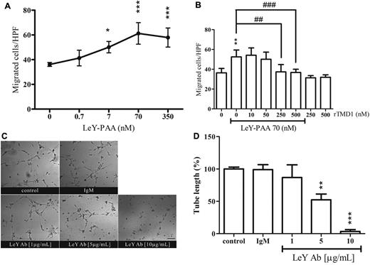 Figure 3. LeY has angiogenic properties and its effect is attenuated by rTMD1. (A-B) Chemotactic effect of LeY-PAA. Boyden chamber migration assay of HUVECs was performed. (A) Various concentrations of LeY-PAA were added to the bottom wells as chemoattractant, and migrated HUVECs were enumerated after 4 hours of incubation. Values are the mean ± SD (n = 5). *P < .05 and ***P < .001 compared with the vehicle control. (B) LeY-PAA was incubated with various concentrations of Pichia-expressed rTMD1 30 minutes before being added to bottom wells as chemoattractant. Values are the mean ± SD (n = 5), and similar results were obtained in at least 3 different experiments. *P < .05, **P < .01, and ***P < .001 compared with the control. ##P < .01 and ###P < .001 compared with the LeY-PAA. HPF indicates high-power field. (C-D) The effect of LeY Ab on tube formation. HUVECs were preincubated with various concentrations of LeY Ab or isotype-matched IgM 30 minutes before being placed on Matrigel. (C) Schematic presentation of tube structure on Matrigel after 6 hours of incubation. The magnification bar is 100 μm. (D) Statistical analysis of the total tube length. Mouse IgM (10 μg/mL) was used as isotype-matched control. The data are the mean ± SD (n = 3). **P < .01 and ***P < .001 compared with the IgM. Similar results were obtained in at least 3 different experiments.