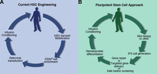 Figure 2. Evolving paradigms in HSC engineering. (A) Current strategies are restricted by the use of nonclonable adult HSCs. (B) The advent of patient-specific pluripotent stem cells may open new strategies for genetic engineering and biosafety testing.