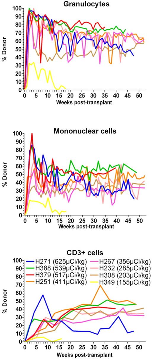 Figure 3. Percentage of donor chimerism in granulocytes, mononuclear cells, and CD3+ in dogs treated with 211At–anti-CD45 mAb-conditioned nonmyeloablative DLA-identical bone marrow transplantation. Eight dogs received 155 to 625 μCi/kg 211At-labeled anti-CD45 mAb on day −3 followed by marrow grafts from a DLA-identical donor on day 0. The total anti-CD45 mAb dose was 0.5 mg/kg, whereof 10% was administered as unlabeled mAb 1 hour before the radioimmunoconjugate.