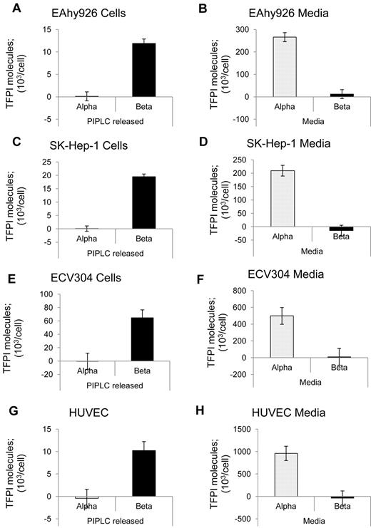 Figure 2. Distribution of TFPI isoforms for various endothelial cell lines. (A-B) EAhy926 cells. (C-D) SK–Hep-1 cells. (E-F) ECV304 cells. (G-H) HUVECs. (A,C,E,G) Washed cells were treated without or with PIPLC and analyzed for TFPI isoforms using immunoassays. PIPLC release was calculated by subtracting the without-PIPLC levels from the with-PIPLC levels. (B,D,F,H) Serum-free conditioned media were analyzed for TFPI isoforms using immunoassays.