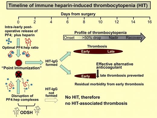 Differing impact of HIT treatment and prevention strategies. The timeline of HIT begins with intra-/perioperative “point immunization” followed 1 week later by thrombocytopenia and hypercoagulability. Whereas “late” HIT-associated thrombosis can be prevented by an effective alternative anticoagulant, only a HIT prevention strategy can avoid morbidity from early HIT-associated thrombosis. Disruption of immunizing PF4/heparin complexes by intra-/perioperative coadministration of ODSH with heparin could prevent HIT and, consequently, HIT-associated thrombosis.