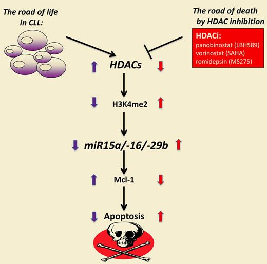 HDAC inhibition restores expression of miRs and triggers cell death in CLL.