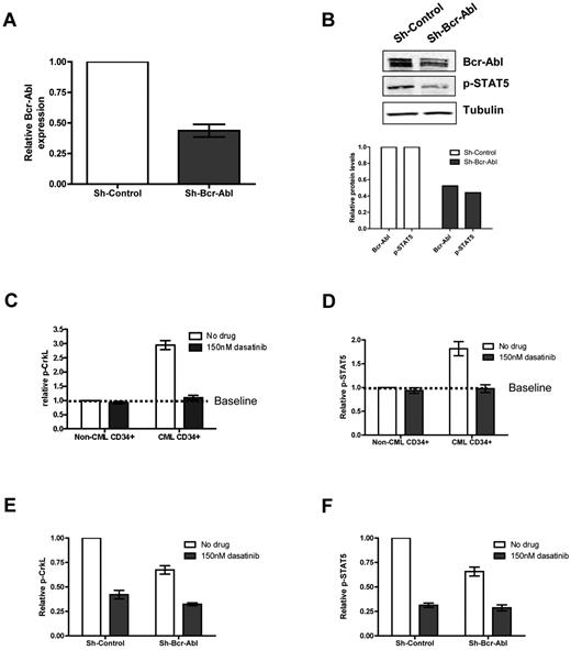 Figure 2. Bcr-Abl knockdown and dasatinib treatment of CML cells in physiologic growth factors. CD34+ CML cells were infected with sh-Bcr-Abl or sh-Control. (A) Forty-eight hours following second infection, cells were sorted for GFP and RNA, protein extracted, and relative expression of Bcr-Abl measured by Q-PCR (n = 5, P = .0004) and (B) Bcr-Abl and p-STAT5 by Western (n = 1). CD34+ non-CML (n = 3) and CML cells (n = 3) were cultured in SFM ± growth factors ± 150nM dasatinib. Twenty-four hours after treatment, (C) p-CrkL and (D) p-STAT5 were measured by flow cytometry. Lentivirally infected CD34+ cells (n = 3) were cultured in physiologic growth factors and treated ± 150nM dasatinib. Twenty-four hours after treatment, (E) p-CrkL and (F) p-STAT5 were measured in infected cells (gated on GFP) cells by flow cytometry.