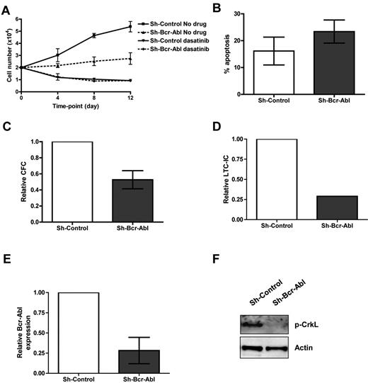 Figure 3. Functional analysis of CML CD34+ cells following Bcr-Abl knockdown ± dasatinib. (A) Proliferation of GFP+ sorted cells treated ± 150nM dasatinib in physiologic growth factors over 12 days (n = 3). (B) Apoptosis measured in infected cells (gated on GFP) by annexin V and viaprobe (n = 2). (C) CFC (n = 4, P = .025) and (D) LTC-IC assays (n = 1). (E) Bcr-Abl levels were measured by Q-PCR on colonies from CFC assay (n = 7 colonies for sh-scrambled and 9 colonies for sh-Bcr-Abl). (F) The level of total p-CrkL was measured by Western blotting on pooled colonies from CFC assay (n = 1).