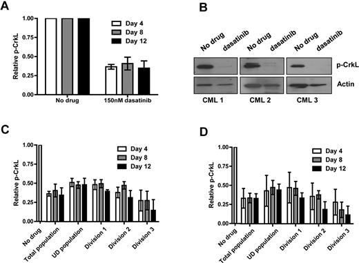 Figure 4. Complete Bcr-Abl inhibition is achieved by dasatinib within primitive subpopulations of CML cells. CFSE-stained CD34+ CML cells (n = 3) were cultured in SFM ± 150 or 1000nM dasatinib for 12 days. (A) The levels of total p-CrkL were measured by flow cytometry and (B) by Western blotting at day 12. p-CrkL was also measured within each cell division after treatment with either (C) 150 or (D) 1000nM dasatinib.