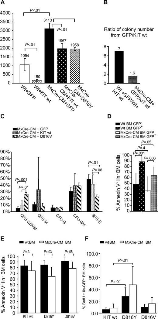 Figure 1. Differentiation potential of BM cells transduced with D816Y/V KIT and control vectors. (A) Total numbers of colonies from 105 cultured WT (wt) or Cbfb+/56m; Tg(Mx1-Cre) BM cells transduced with retroviral vectors containing WT KIT, KITD816V or GFP and sorted for GFP expression. Wt + GFP indicates WT BM cells transduced with GFP vector alone; Wt + KIT wt, WT BM cells transduced with WT KIT vector; and MxCre-CM + GFP, KIT wt, or D816Y, Cbfb+/56m; Tg(Mx1-Cre) BM cells transduced with GFP, Wt KIT, or KITD816V vector, respectively. The numbers above the bars are average colony numbers for the group. (B) Ratio of total colony numbers from 105 cultured WT or Cbfb+/56m; Tg(Mx1-Cre) (MxCre-CM) BM cells transduced with GFP versus those transduced with WT KIT. (C) Types of colonies formed from transduced Cbfb+/56m; Tg(Mx1-Cre) BM cells. CFU indicates colony-forming unit; G, granulocyte; E, erythrocyte; MM, monocyte and megakaryocyte; and GM, granulocyte and monocyte. All BM cells were sorted for GFP+ cells before plating. (D) Comparison of annexin V+ cell numbers (percentage) between the KIT (both WT and 816 mutants)–transduced (GFP+) and untransduced (GFP−) BM lin− cell populations, for both WT and Cbfb+/56m; Tg(Mx1-Cre). (E) Comparison of annexin V+ cell numbers (percentage) between the WT and Cbfb+/56m; Tg(Mx1-Cre) BM lin− cell populations that were transduced with WT KIT or KIT816Y/V. (F) BrdU+ cells in KIT (WT and 816 mutants)–transduced BM cells.