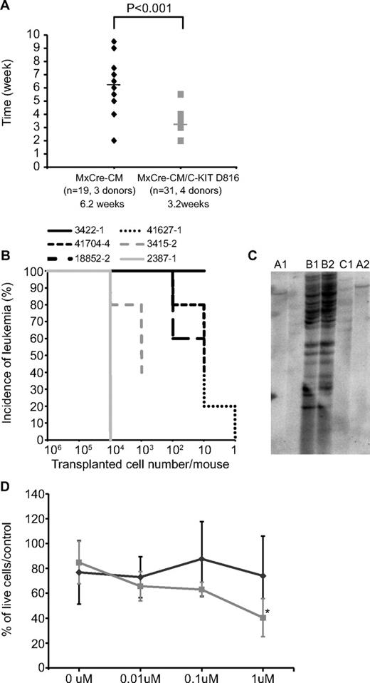 Figure 5. Accelerated leukemia development and increased LICs by KITD816V/Y. (A) Disease latency in secondarily transplanted mice with leukemic cells of Cbfb+/56m; Tg(Mx1-Cre) (black diamonds) and Cbfb+/56m; Tg(Mx1-Cre)/KITD816V/Y (gray squares). Each recipient mouse was given 106 leukemia cells. (B) Leukemia incidences from limiting dilution transplantation with Cbfb+/56m; Tg(Mx1-Cre)/KITD816Y leukemia cells (N = 4; black lines) and Cbfb+/56m; Tg(Mx1-Cre) leukemia cells (N = 2; gray lines). Numbers of cells injected per mouse are shown on x-axis. N = 5 in each dose group. (C) Genomic Southern blot hybridization for clonality analysis. Each lane is from one secondarily transplanted mouse. Panels A, B, and C are 3 different donors (lanes not labeled had degraded DNA). (D) Leukemia cell viability in culture after PKC412 treatment. Gray line indicates Cbfb+/56m; Tg(Mx1-Cre)/KITD816Y mice (N = 4); and black line, Cbfb+/56m; Tg(Mx1-Cre) mice (N = 5; *P < .01).