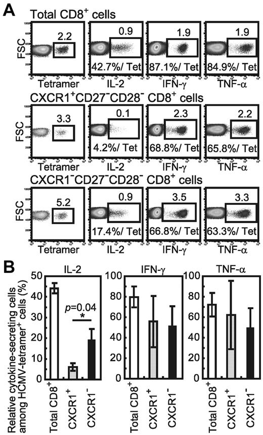 Figure 3. Different cytokine productivity of CXCR1+ and CXCR1− effector subsets among HCMV-specific CD8+ T cells. (A) Cytokine productivity of HCMV-specific effector CD8+ T cells. CXCR1+ and CXCR1− cells in the CD27−CD28−CD8+ cell population were sorted from HCMV-seropositive healthy subject number U-14. Sorted cells were cocultured with C1R-A*0201 cells pulsed with HCMV-1 CTL epitope peptide for 6 hours, and then the frequency of cytokine-positive cells was determined by staining for intracellular cytokine. These cells were also stained with HCMV-tetramer in tubes separate from those used for the cytokine staining to detect the frequency of HCMV-specific CD8+ cells. The frequency of cytokine-producing cells in the total HCMV-specific cell population of each subset is shown as the percentage of cytokine-positive cells relative to the percentage of the HCMV-tetramer+ cell population (%/Tet). Nonspecific cytokine-positive cells (ie, cytokine-positive cells in the coculture of C1R-A*0201 cells without peptide) were subtracted from all data. (B) The mean percentage and SD of cells producing each type of cytokine in each HCMV-specific CD8+ T-cell subset from 3 HCMV-seropositive healthy subjects are shown.