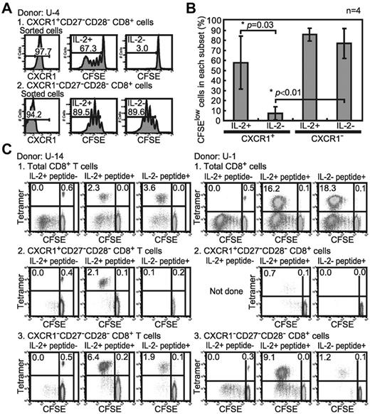 Figure 4. Proliferation potency of CXCR1+ and CXCR1− effector CD8+ T cells. (A) TCR engagement–induced proliferation of effector CD8+ T cells. The CXCR1+ and CXCR1− subsets were sorted from healthy subject no. U-4. The CFSE-labeled sorted CD8+ T-cell subsets were analyzed for CFSE dilution profiles after 5 days of solid-phase anti-CD3 mAb stimulation with or without IL-2 (200 u/mL). The values in each histogram show the percentage of divided cells (CFSElow) and undivided cells (CFSEhigh). (B) Mean percentage and SD of CFSElow and CFSEhigh cells in each CD8+ T-cell subset after 5 days of anti-CD3 mAb stimulation from 4 individuals are shown. (C) Ag-driven proliferation of CXCR1+ and CXCR1− effector subsets. The effector CXCR1+ and CXCR1−subsets were sorted from the HCMV-seropositive healthy subjects U-14 and U-1. The percentage of HCVM-tetramer+ CD8+ T cells in each subset before stimulation is as follows: U-14 total CD8+ T cells: 2.2%, CXCR1+ subset: 3.3%, CXCR1− subset: 5.2%; U-1 total CD8+ T cells: 2.4%, CXCR1+ subset: 0.5%, and CXCR1− subset: 1.3%. The CFSE-labeled sorted CD8+ T-cell subsets were cocultured for 5 days with irradiated C1R-A*0201 cells pulsed or not with HCMV-1 CTL epitope peptide. The percentages of divided HCMV-1-A*0201 tetramer+ (top left), divided tetramer− (bottom left), undivided tetramer+ (top right), and undivided tetramer− (bottom right) cells in each sorted subset are shown.