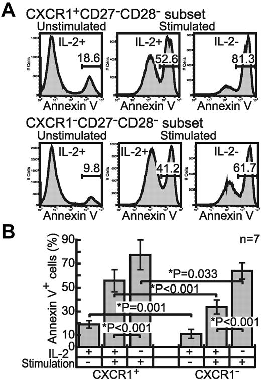 Figure 5. Difference between effector CD8+ T-cell subsets in terms of susceptibility to dying. (A) Purified CXCR1+ and CXCR1− effector subsets were stimulated or not with solid-phase anti-CD3 mAb and cultured with or without IL-2 (200 U/mL) for 48 hours. Doublet cells were excluded from the CD3+CD8+ population and then the percentage of annexin V+ cells was analyzed. (B) The mean percentage of annexin V+ cells in each effector subset from 7 individuals is shown with the SD. *Significant statistical difference at the indicated level.