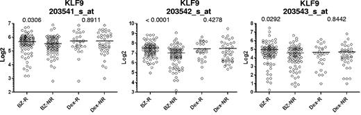 Figure 1. Microarray values for KLF9 expression in MM patients correlate with patient response to bortezomib, but not dexamethasone. Expression of KLF9 in patient myeloma cells was determined from gene expression profile arrays that were generated at Millenium Pharmaceuticals from patients before Bortezomib (Bz; n = 163) or dexamethasone therapy (Dex; n = 67), and deposited in the Gene expression omnibus database (GSE9782). Using the dataset annotations, KLF9 expression among responders (R) or nonresponders (NR) within Bz (n = 85 for R, n = 78 for NR) or Dex (n = 28 for R, n = 39 for NR) groups were plotted on the horizontal axis against the log transformed normalized affymetrix expression units on the vertical axis. Probe set numbers correspond to those in supplemental Table 2. P values between R and NR are shown above the corresponding therapy group.