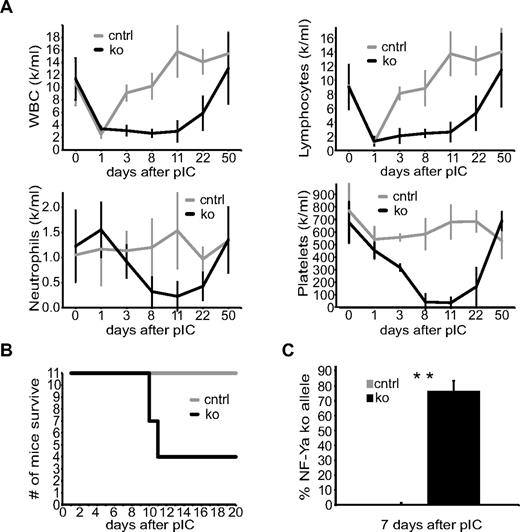 Figure 2. NF-Ya–deficient BM chimeric mice die with severely reduced complete blood counts. (A) PB from one cohort of control (gray) and ko (black) BM chimeric mice 1, 3, 8, 11, 22, and 50 days after the first pIpC injection was isolated and counted (n ≥ 4 for every time point). (B) Survival curve of control (gray) and ko BM chimeric mice (black) of 2 cohorts not used in any other experiment. (C) DNA from control and ko BM chimeric mice from panel A was isolated from PB 7 days after the first pIpC injection and tested quantitatively for the presence of the NF-Ya ko allele (NF-Ya floxed allele after cre recombination; n ≥ 4); **P < .01.