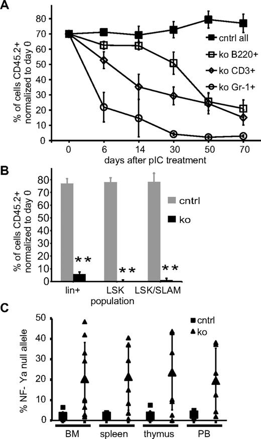 Figure 4. HSCs cannot support hematopoiesis in the absence of NF-Ya and various genes implicated in HSCs behavior are dysregulated in HSCs. (A) CD45.1+ recipients received a BM transplant from NF-Ya+/++Mx-cre (control) and NF-Yafl/fl+Mx-cre (ko, all CD45.2+) mice together with 30% CD45.1+ NF-Ya wt competitor cells. The mice were treated with pIpC at day 0. The CD45.1-to-CD45.2 ratio of Gr-1+, B220+, and CD3+ PB-cell populations was determined and normalized to day 0 (n = 5 for all data points except for ko samples day 30, 50, and 70; n = 4). (B) Mice from panel A were killed, and the indicated BM subpopulations were analyzed for CD45.1 versus CD45.2 expression and are shown in a bar graph, control (gray) and ko (black). (C) DNA from BM, spleen, thymus, and PB of NF-Ya+/++Mx cre (control) and NF-Yafl/fl+Mx cre (ko) mutant BM chimeras 10 weeks after pIpC treatment was subjected to quantitative PCR analysis that measured the amount of NF-Ya–null allele. Single data points and averages, including SDs, are shown.