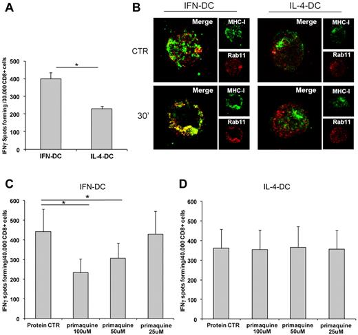Figure 7. Involvement of recycling pathway in NS3 cross-presentation by IFN-DCs. (A) IFN-γ ELISPOT analysis of DCs pulsed with NS3 protein for 1 hour and then washed, fixed with 0.05% glutaraldehyde, and used in a cross-presentation assay with NS31406-1415–specific CD8+ clone. The results are expressed as mean ± SD of 4 independent experiments. (B) CLSM detection of MHC class-I molecules (green) and Rab11 (red) in unstimulated DCs (CTR) and DCs allowed to internalize NS3 protein (15-minute pulse, 30-minute chase). Costaining of MHC-I with Rab11 was detected in yellow. Insets represent separate channel images. A representative experiment of 3 is shown. (C-D) Evaluation of IFN-γ–forming spots in cocultures of DCs treated with primaquine either before and during 16 hours of NS3 pulsing and then washed and used in a cross-presentation assay with NS31406-1415–specific CD8+ clone (mean ± SD of 5 independent experiments). Statistical analysis in panels A, C, and D was performed by Mann-Whitney test (*P < .05).