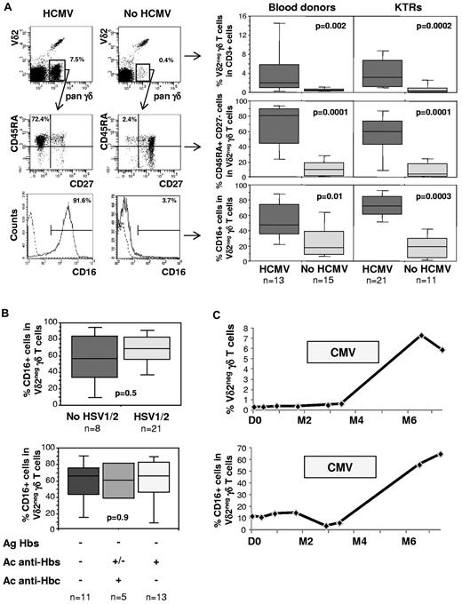 Figure 1. CD16 expression on Vδ2neg γδ T cells and HCMV. (A) Six-color staining with mAbs directed against CD3, Vδ2, TCRγδ, CD27, CD45RA, and CD16 was performed on PMBC from 32 kidney transplant recipients (KTRs) and 28 healthy volunteers divided in HCMV-seropositive (HCMV) or HCMV-seronegative (no HCMV) individuals. Left panels: staining on 1 representative patient. Right panels: results from the 28 healthy donors and 32 KTRs. Data are expressed as medians (range) for the whole population. (B) The 32 KTRs included in the study were divided according to HSV1/2 (top panel) or HBV serologies (bottom panel, infected = anti-Hbc positive, vaccinated = anti-Hbs positive) and the proportion of CD16pos Vδ2neg γδ T cells was evaluated in each group. (C) Monitoring of CD16pos Vδ2neg γδ T cells in 1 HCMV-seronegative KTR who received a kidney from a seropositive donor and who developed HCMV infection (represented as gray bar).