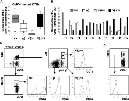 Figure 2. Vδ2neg γδ T cells represent a major population of circulating CD16-expressing cells in individuals persistently infected with HCMV. Six-color staining with mAbs directed against CD3, Vδ2, TCRγδ, CD16, CD45, and NKp46 was performed on PMBC from 10 HCMV-infected KTRs to analyze the composition of the CD16pos lymphocyte compartment. (A) Percentage of each subset within the CD45+CD16+ cell population: NK cells (CD3−CD45+NKp46+), αβ T cells (CD3+CD45+TCRγδ-Vδ2-), Vδ2pos γδ T cells (CD3+CD45+pan-TCRγδ+Vδ2+), and Vδ2neg γδ T cells (CD3+CD45+TCRγδ+Vδ2-). Data are expressed as medians (range). (B) Inter-individual variability in CD45+CD16+ subsets for each KTR. (C) CD16 expression on each CD45+CD16+ subset as determined by median fluorescence intensity (MFI). Data of 1 representative KTR are presented. (D) Blood from HCMV-seropositive KTRs (n = 6) and healthy volunteers (n = 3) was incubated with mAbs directed against CD3, CD8, and CD16 as well as with pp65-HLA-A2 dextramers. Staining from 1 representative KTR is presented.