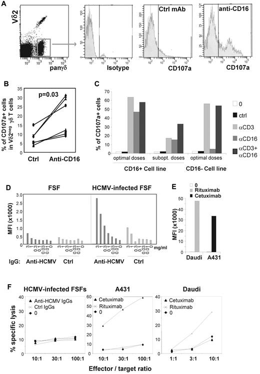 Figure 3. Despite intrinsic ADCC potential, Vδ2neg γδ T cells do not kill HCMV-infected fibroblasts treated with anti-HCMV hyperimmune sera. (A) PBMCs from 1 representative HCMV-infected KTR were cultured with anti-CD16 mAb or control mAb, and degranulation was determined by staining with anti-CD107a mAb. Cells were then stained with a combination of anti-CD3, anti-Vδ2, and anti-TCRγδ mAbs, and analyzed by flow cytometry. (B) The results from 6 HCMV-infected KTRs are presented (P = .03 between control and anti-CD16 activation). (C) CD16pos and CD16neg Vδ2neg γδ T-cell lines were activated with an anti-CD16 agonist mAb and/or an anti-CD3 mAb, at optimal (both at 10 μg/mL) or suboptimal doses (500 ng/mL for anti-CD16 and 250 ng/mL for anti-CD3). The cytotoxic potential of Vδ2neg γδ T cells was measured by the flow cytometric CD107a assay. Data are representative of 3 different experiments. (D) Primary FSF cultures were infected or not with HCMV for 5 days, and then cells were harvested and incubated with anti-HCMV IgGs or control IgGs at the indicated concentrations. The binding of specific antibodies was revealed by flow cytometry using a fluorescent goat anti–human Ab. (E) The Daudi lymphoma and the A431 skin carcinoma cell lines were, respectively, incubated with anti-CD20 Rituximab and anti-EGFR Cetuximab (both at 10μg/mL). (F) The cytolytic activity of the CD16pos Vδ2neg γδ T-cell line against HCMV-infected FSF and tumor cells (Daudi and A431 cell lines) labeled with 51Cr and preincubated with polyclonal anti-HCMV IgGs, anti-CD20 Rituximab, and anti-EGFR Cetuximab, respectively, was measured after 4 hours at 37°C by analyzing the amount of 51Cr released in the supernatant. Data are representative of 3 different experiments.