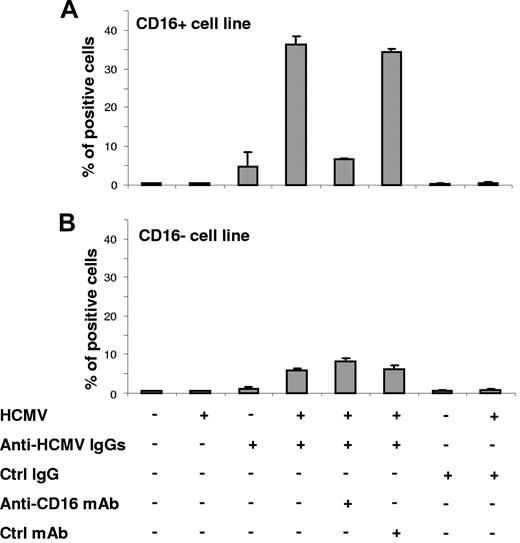 Figure 5. CD16 expression on Vδ2neg γδ T cells endow them with the capacity to bind IgG-opsonized HCMV. CD16pos (A) and CD16neg (B) Vδ2neg γδ T-cell lines were incubated with HCMV alone, anti-HCMV specific IgGs alone, or IgG-opsonized HCMV. Blocking anti-CD16 (clone 3G8) or control mAbs were used in certain conditions. The binding of IgG-opsonized HCMV on Vδ2neg γδ T cells was detected by flow cytometry using a fluorescent goat anti–human mAb. The experiment was performed in duplicate (mean ± SD) and is representative of 5 different experiments.