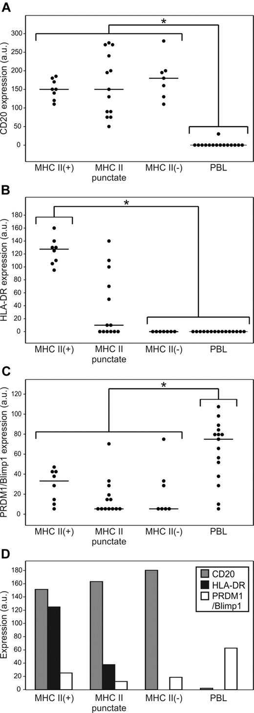 Figure 3. DLBCL and PBL display markedly different profiles of CD20, HLA-DR, and PRDM1/Blimp1 expression. Individual protein expression scores (a.u. indicates arbitrary units) using quantum dot IHC were calculated per marker, per case, as described in “Quantum dot fluorescent IHC” (possible range, 0-300). Line indicates median value. *P < .05. (A) CD20 expression is significantly lower in PBL compared to all 3 categories of DLBCL. (B) HLA-DR expression is significantly lower in PBL and MHCII (−) DLBCL compared to MHCII (+) or MHCII-puncture DLBCL. (C) PRDM1/Blimpl is significantly higher in PBL compared to all 3 categories of DLBCL. (D) Mean scores of CD20, HLA-DR, and PRDM1/Blimp1 in MHC II(+), MHC II-punctate, and MHC II(−) DLBCL and PBL.