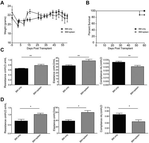 Figure 1. Allogeneic transfer of BM and low concentrations of splenic cells in hosts treated with Cy/TBI-caused cGVHD and BO. B10.BR mice treated with 120 mg · kg−1 · d−1 Cy (day −3, −2) and lethally irradiated (day −1) were transplanted with BM alone or BM plus 0.75-1 × 106 splenocytes from C57Bl/6 mice. n = 10 mice/group. Weights of the animals (A) and survival (B) were tracked up to 60 days after transplantation. PFTs were performed on anesthetized animals at day 60 (C) and day 28 (D) after transplantation. Animals were artificially ventilated, and resistance, elastance, and compliance were measured as parameters of distress in lung function in animals receiving low-dose splenocytes or T cells. Representative data from 3 individual experiments. **P < .01.