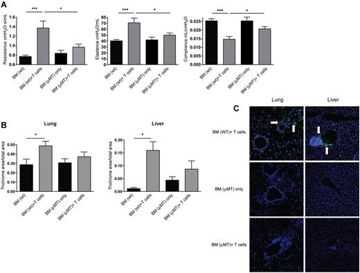 Figure 5. Animals receiving B cell–deficient BM show a decrease in pathology. B10.BR recipients were transplanted with WT BM or BM from μMT knockout mice with or without WT T cells. (A) At 60 days after transplantation, mice were anesthetized and artificially ventilated to measure pulmonary function parameters. (B) Collagen deposition was quantified from trichrome-stained samples as a ratio of blue area to total area of tissue. Quantification was performed with the analysis tool in Photoshop CS3. (C) Lung and liver tissues were harvested, and 6-μm frozen sections were stained with FITC-conjugated anti–mouse Ig for antibody deposition within the tissues. White arrows denote areas of Ig deposition. Images shown are representative images of 3 individual experiments; n = 4. *P < .05; ***P < .005; P = .4066 for lung BM (μMT) only vs BM (μMT) + T cells; P = .2860 for liver BM (μMT) only vs BM (μMT) + T cells.