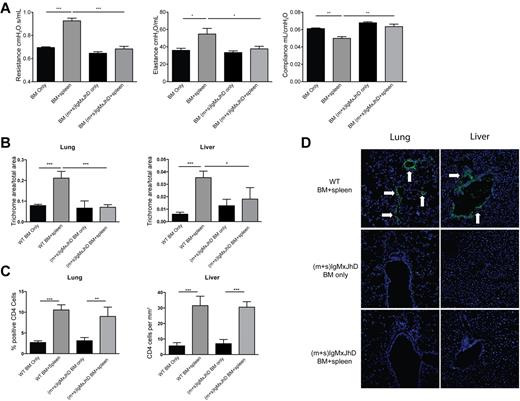 Figure 6. Secreted antibody is required for pulmonary dysfunction in animals with cGVHD. (A) B10.BR mice were transplanted with BM ± splenocytes from WT or (m+s)IgMxJhD BALB/c mice and anesthetized at day 60 after transplantation for PFTs. Resistance, compliance, and elastance were measured; n = 8. (B) Collagen deposition was quantified from trichrome-stained samples as a ratio of blue area to total area of tissue. Quantification was performed with the analysis tool in Photoshop CS3. (C) Infiltration of CD4+ cells in the lung and liver of transplanted mice. (D) Lung and liver tissues were harvested, and 6-μm frozen sections were stained with FITC-conjugated anti-mouse Ig for antibody deposition within the tissues. White arrows denote areas of Ig deposition. Representative image from 2 independent experiments; n = 8. *P < .05; **P < .01; ***P < .005.