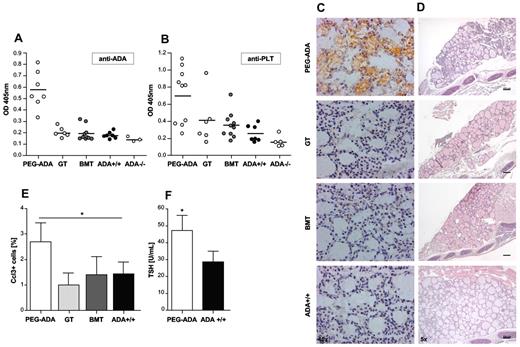 Figure 6. Increased antibody production in PEG-ADA–treated ADA−/− mice. (A) ELISA assessing antibody production against ADA in PEG-ADA (n = 7), GT (n = 6), and BMT (n = 10) treated ADA−/− mice compared with ADA+/+ mice (n = 7) and 3-week-old ADA−/− mice (n = 3); scatter plot; horizontal bars represent mean. (B) ELISA assessing autoantibody production against platelets in PEG-ADA (n = 10), GT (n = 6), and BMT (n = 10) treated ADA−/− mice compared with ADA+/+ mice (n = 7) and 3-week-old ADA−/− mice (n = 5); scatter plot; horizontal bars represent mean. (C) Autoantibody production directed against thyroid tissue in PEG-ADA but not GT- and BMT-treated ADA−/− or ADA+/+ mice. (D) Thyroid damage occurring in autoantibody-producing PEG-ADA–treated mice compared with a GT- or BMT-treated ADA−/− and WT control. (E) Percentage of apoptotic Ccl3-positive nuclei in the thyroid of PEG-ADA–treated ADA−/− (n = 7) compared with GT (n = 5) and BMT (n = 5) treated ADA−/− and ADA+/+ mice (n = 5). Data are mean ± SD. *P = .05. (F) Concentration of TSH in sera of PEG-ADA–treated ADA−/− mice (n = 14) compared with ADA+/+ mice (n = 8). Data are mean ± SD. *P = .05.