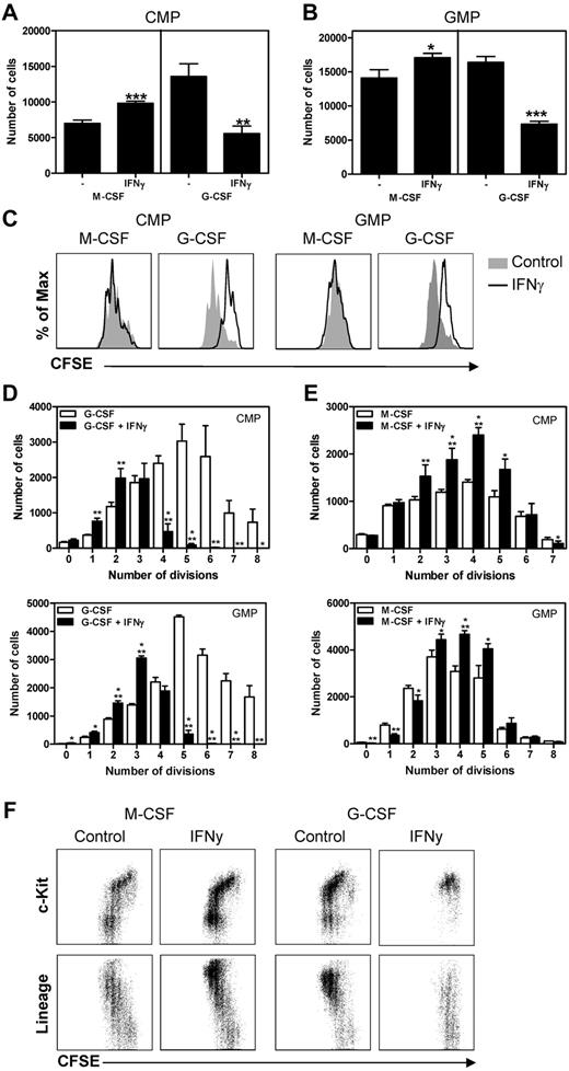 Figure 5. IFNγ impairs the proliferation and differentiation of myeloid progenitors in response to G-CSF. Absolute cell numbers derived from 1000 CMPs (A) and 1500 GMPs (B) after 3 days of culture with M-CSF or G-CSF with or without IFNγ. (C) Histograms showing CFSE dilution of CMPs and GMPs cultured for 3 days with M-CSF or G-CSF with or without IFNγ and absolute number of cells in each CFSE dilution peak of G-CSF–cultured (D) and M-CSF–cultured (E) CMPs and GMPs. (F) Representative plots showing CFSE dilution versus c-Kit or lineage expression of CFSE-labeled CMPs cultured for 3 days with M-CSF or G-CSF with or without IFNγ. Data in panels A, B, and D represent means ± SD from triplicate cultures and all data are representative of 3 independent experiments. *P < .05; **P < .01; ***P < .001.