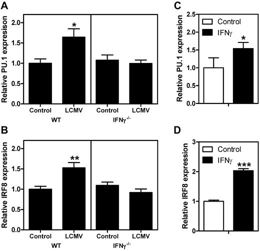 Figure 6. IFNγ induces the expression of IRF8 and PU.1. Quantitative PCR analysis of expression levels of PU.1 (A) and IRF8 (B) in purified GMPs from naive mice and from mice 8 days after LCMV infection. Expression is relative to the levels in naive WT GMPs. Relative expression of PU.1 (C) and IRF8 (D) in WT GMPs after in vitro stimulation with IFNγ. Expression is relative to the levels in unstimulated GMPs. Data in panels A and B represent means ± SD from 3 independent experiments with 2 mice per group; data in panels C and D represent means ± SD from triplicate stimulations measured in duplicate. *P < .05; **P < .01; ***P < .001.