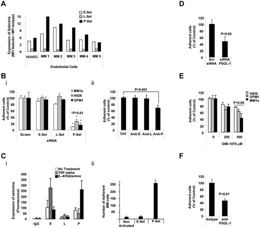 Figure 2. PSGL-1 regulated adhesion of MM cells to ECs. (A) Expression of E-, L-, and P-selectins evaluated on HUVECs and primary MM BM-derived ECs (n = 5) using flow cytometry and expressed as ratio between MFI of selectin to the MFI of the isotype control. ECs present with higher expression of E- and P-selectins. (B) HUVECs were transfected with siRNAs for E-, L-, or P-selectin. Scramble siRNA was used as a control (panel i) or cells were treated with anti–E-, anti–L-, or anti–P-neutralizing Abs. Isotype control Ab was used as a control (panel ii). Adhesion of MM cells on HUVECs was evaluated: significant inhibition of MM cells to HUVECs was observed in P-selectin knock-down cells (panel i) and in HUVECs treated with neutralizing Ab for P-selectin (panel ii), P < .01. All HUVECs shown in panel C were exposed to TNFα (30 U/mL for 3 hours) or to IL-4 (3 ng/mL for 24 hours) and histamine (2.25mM for 4 hours). Expression of E-, L-, and P-selectins was evaluated by flow cytometry. Induction of E- and P-selectin was observed after activation with TNFα or IL-4/histamine, respectively (panel i). Adhesion of nontreated MM cells to HUVECs was evaluated. MM cells showed increased adhesion to HUVECs with activation of P-selectin (panel ii), P < .01. (D) MM1s cells were transfected with either PSGL-1 siRNA or scramble siRNA. Adhesion of MM cells to HUVECs was evaluated: a significant inhibition of MM cells to HUVECs was observed in PSGL-1 knock-down cells (P < .05). (E) HUVECs were treated with increasing concentrations of GMI-1070 (0, 100, 250, and 500μM) for 1 hour, and adhesion of nontreated MM cells (H929, OPM1, and MM.1S) to HUVECs was evaluated: dose-dependent inhibition of MM cell adhesion to HUVECs was observed (P < .05). All data represent means ± SD of triplicate experiments. (F) MM1s cells were treated with either isotype control or PSGL-1–blocking Ab. Adhesion of MM cells to HUVECs was evaluated: significant inhibition of MM cells to HUVECs was observed in cells treated with PSGL-1–blocking Ab (P < .01).