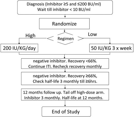 Figure 1. Flow diagram summarizing the protocol for the study, randomization, and monitoring of ITI and prophylaxis.