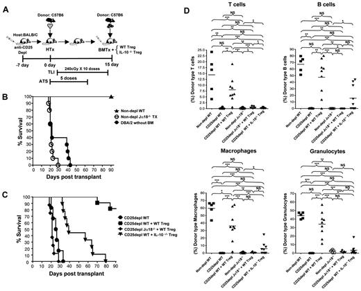 Figure 1. Tolerance and chimerism is dependent on Tregs, their expression of IL-10, and NKT cells. (A) Experimental scheme: WT or Jα18−/− BALB/c host mice were given C57BL/6 neonatal heart transplants on day 0. ATS was injected intraperitoneally on days 0, 2, 6, 8, and 10. TLI was given over 14 days at 10 doses of 240 cGy each. Some hosts were given a single dose of anti-CD25 mAb intraperitoneally on day −7 to deplete Treg cells. On day 15, 50 × 106 C57BL/6 bone marrow cells were injected intravenously without, or with CD4+CD25+ T cells sorted from WT, or IL-10−/− BALB/c mice. (B) Heart graft survival in nondepleted TLI/ATS WT, or nondepleted Jα18−/− BALB/c mice given C57BL/6 heart transplants and bone marrow cell infusion (nondepl WT, n = 9 mice), (nondepl Jα18−/−, n = 10 mice), or nondepleted BALB/c hosts given DBA/2 heart transplants without bone marrow cell infusion (DBA/2 without BM, n = 10 mice). Nondepl WT versus nondepl Jα18−/−, (P < .01) by log-rank Mantel-Cox test. (C) Heart graft survival in Treg depleted and TLI/ATS conditioned WT hosts given heart transplants and bone marrow cell infusion (CD25 depl WT, n = 12 mice), Treg depleted and TLI/ATS conditioned WT hosts given heart transplants and bone marrow cell infusion with add-back of sorted 1 × 106 CD4+CD25+ T cells from WT BALB/c mice (CD25 depl WT + WT Treg, n = 11 mice), Treg depleted TLI/ATS Ja18−/− BALB/c mice given heart transplants and bone marrow cell infusion (CD25 depl Ja18−/− + WT Treg, n = 8) with add-back of sorted 1 × 106 CD4+CD25+ T cells from WT BALB/c mice, and Treg depleted and TLI/ATS conditioned WT hosts given heart transplants and bone marrow cell infusion with add-back of sorted 1 × 106 CD4+CD25+ T cells from IL-10−/− BALB/c mice (CD25 depl WT + IL-10−/− Treg, n = 9 mice). CD25 depl WT versus CD25 depl + WT Treg (P < .001); CD25 depl WT + WT Treg versus CD25 depl Jα18−/− + WT Treg (P < .001), CD25 depl WT + WT Treg versus + IL-10−/− Treg (P < .001) by log-rank Mantel-Cox test. (D) Mean percentages of donor type cells on day 28 after marrow transplantation in nondepleted WT BALB/c mice given heart and marrow transplants (nondepl WT, n = 8 mice), CD25 depleted WT hosts given transplants (CD25 depl WT, n = 6 mice), CD25 depleted WT hosts given transplants and sorted 1 × 106 CD4+CD25+ T cells from WT BALB/c mice (CD25 depl WT + WT Treg, n = 9 mice), nondepleted TLI/ATS Ja18−/− BALB/c mice given transplants (nondepl Ja18−/−, n = 10 mice), CD25 depleted TLI/ATS Ja18−/− BALB/c mice given transplants with add-back of sorted 1 × 106 CD4+CD25+ T cells from WT BALB/c mice (CD25 Ja18−/− + WT Treg, n = 7 mice), and CD25 depleted WT hosts given transplants and sorted 1 × 106 CD4+CD25+ T cells from IL-10−/− BALB/c mice (CD25 depl WT + IL-10−/− Treg, n = 9 mice). Comparison of means (Student 2-tailed t test) gave P values shown on the panels; NS > .05, *P < .05, **P < .01, ***P < .001. T cells-TCR+; B cells-B220+; Macrophages- Mac1+; Granulocytes-Gr1+ cells.